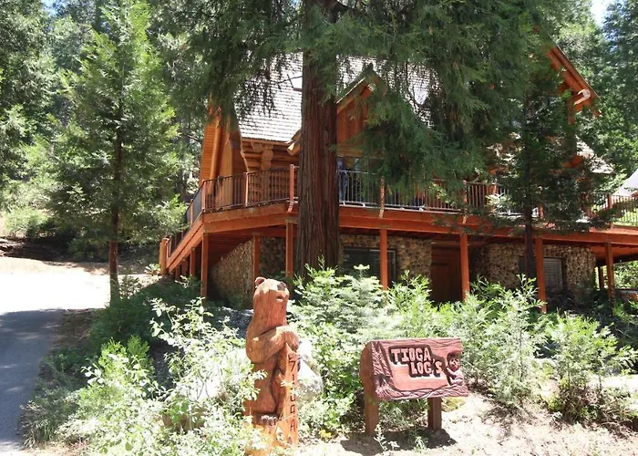 Tioga Logs